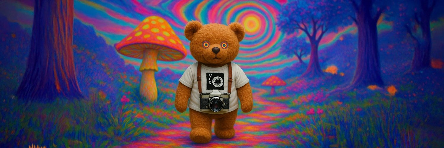 Shutter-Bear-Summer-Vacation
