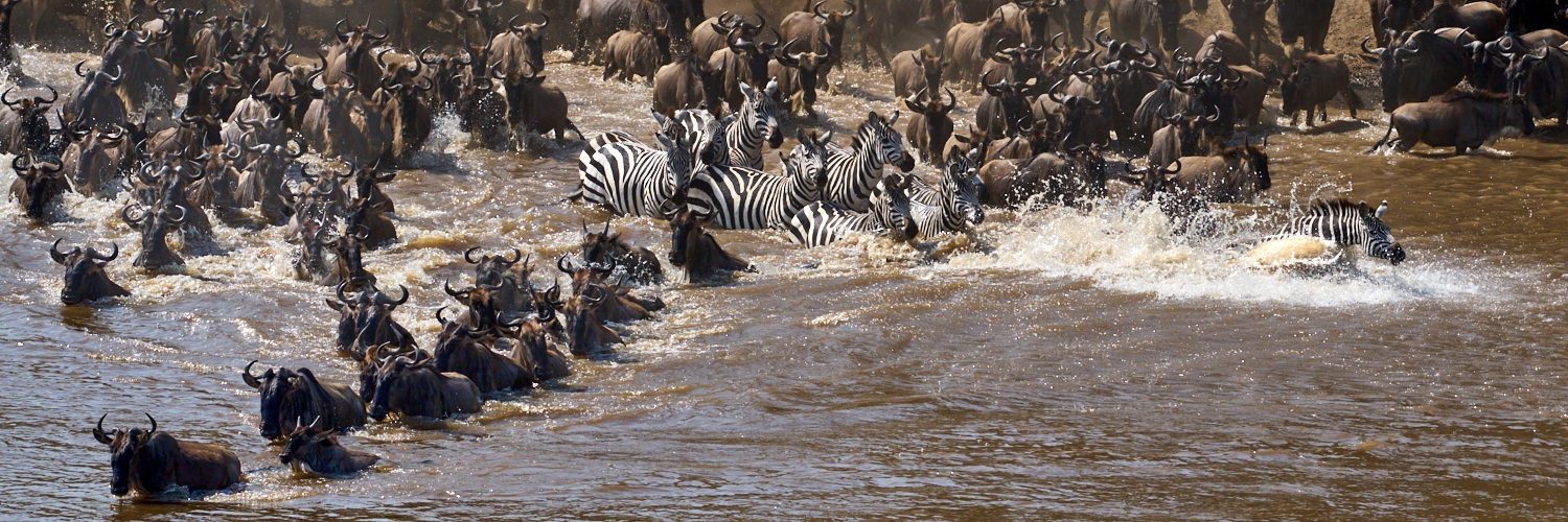 Great Migration by Nick Delany