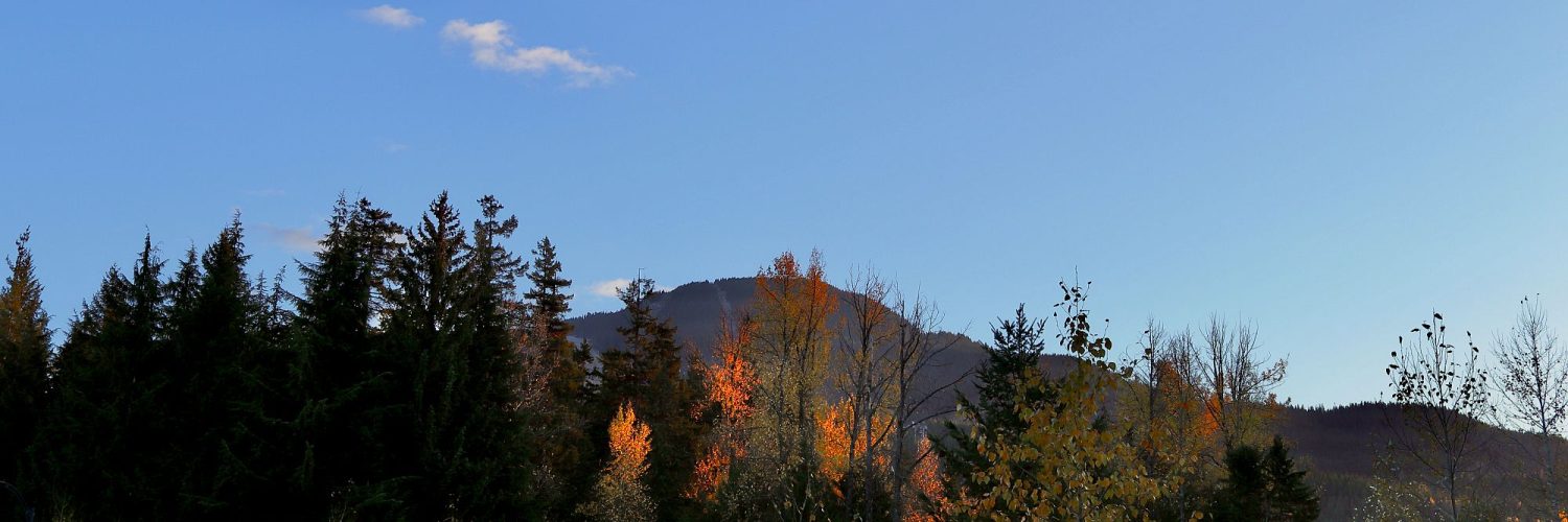 Whistler Blackcomb in Fall by Anke Weber